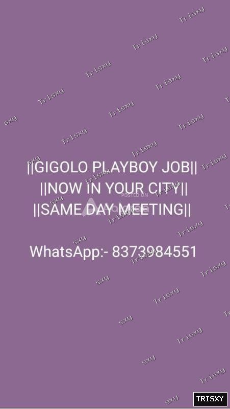 MALE ESCORT SERVICE PROVIDED PART TIME OUR FULL TIME JOBS SAVE AND SECURE PROVIDED PLAY…
